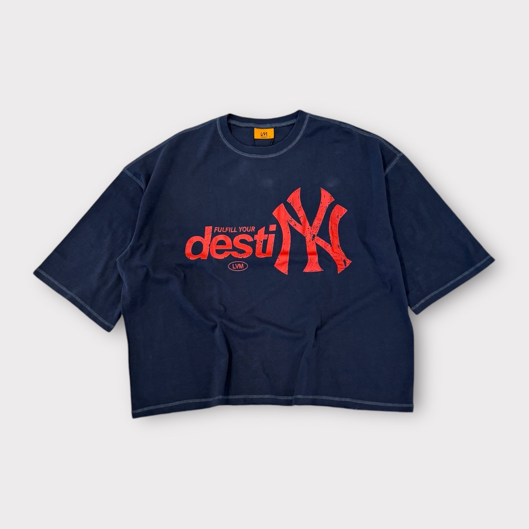 DestiNY heavyweight graphic tee blue wash front view